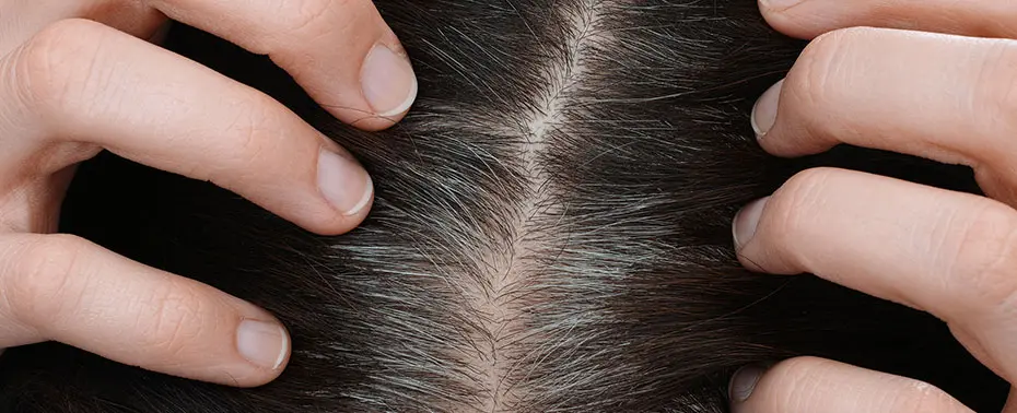 Come funziona la crescita dei capelli